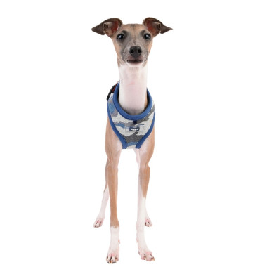 ENSIGN HARNESS A