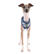 ENSIGN HARNESS A ENSIGN HARNESS A