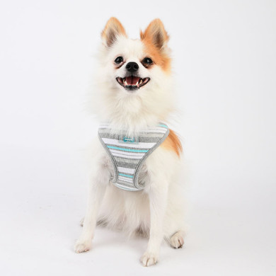 OCEANE HARNESS A OCEANE HARNESS A