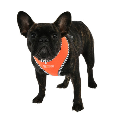 NAUNET HARNESS A NAUNET HARNESS A