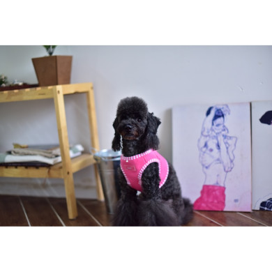 NAUNET HARNESS B NAUNET HARNESS B
