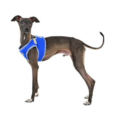 NAUNET HARNESS B