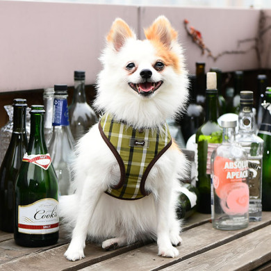 BAXTER HARNESS A BAXTER HARNESS A
