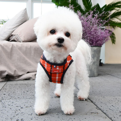 BAXTER HARNESS B BAXTER HARNESS B