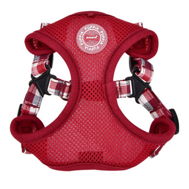 NEIL HARNESS C NEIL HARNESS C