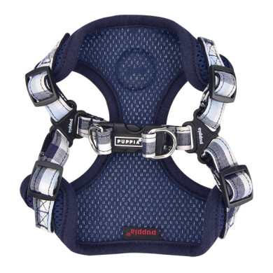 NEIL HARNESS C NEIL HARNESS C