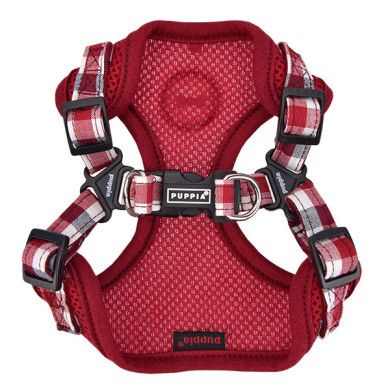 NEIL HARNESS C NEIL HARNESS C