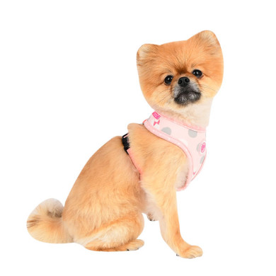 LAPINE HARNESS LAPINE HARNESS