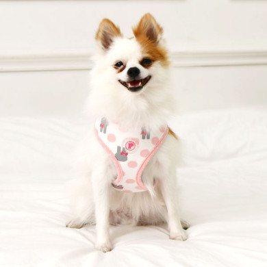 LAPINE HARNESS LAPINE HARNESS