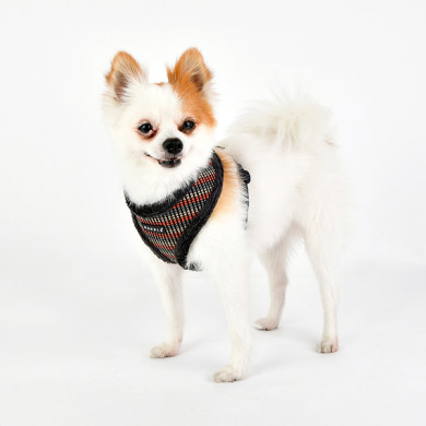 ELLIOTT HARNESS A ELLIOTT HARNESS A