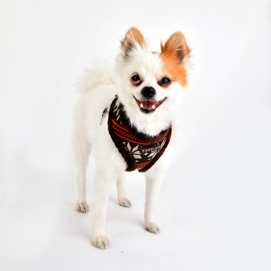 PRANCER HARNESS A PRANCER HARNESS A