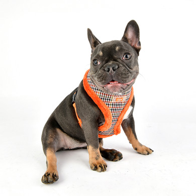 AUDEN HARNESS A AUDEN HARNESS A