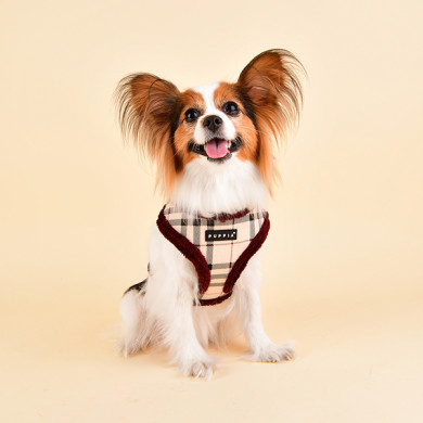 DEAN HARNESS A DEAN HARNESS A