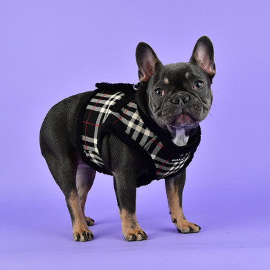 DEAN HARNESS B DEAN HARNESS B