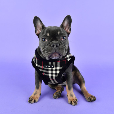DEAN HARNESS B DEAN HARNESS B