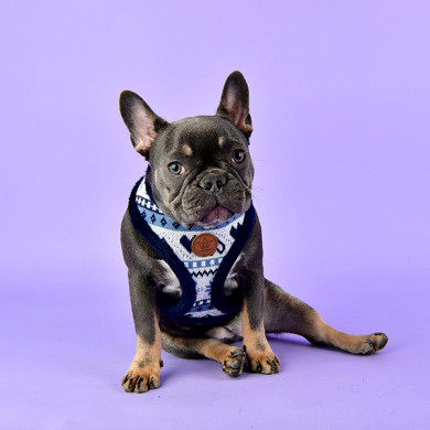 JOY HARNESS JOY HARNESS