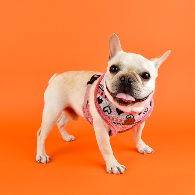 JOY HARNESS JOY HARNESS