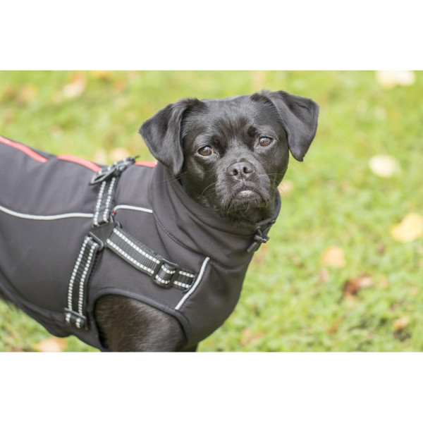 CHARLIE Softshell Jacke mit Geschirr