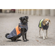 CODY Softshell Jacke mit Geschirr