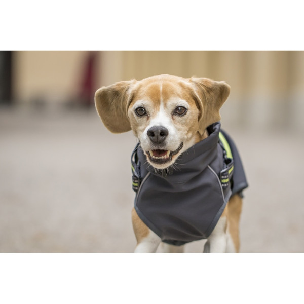 CODY Softshell Jacke mit Geschirr