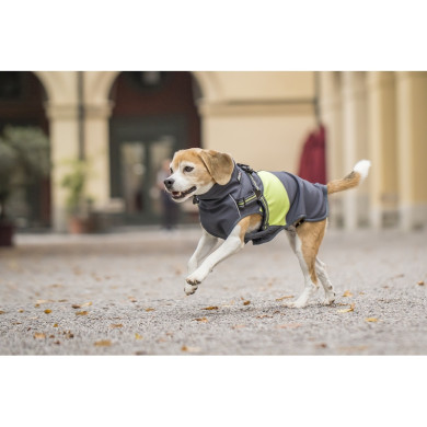 CODY Softshell Jacke mit Geschirr CODY Softshell Jacke mit Geschirr