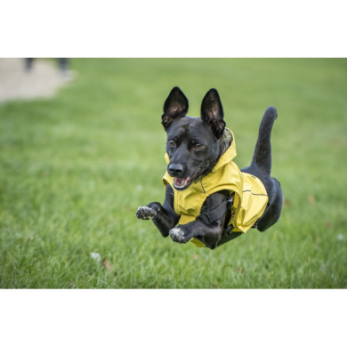SCOTTY Regenjacke mit Geschirr SCOTTY Regenjacke mit Geschirr