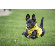 SCOTTY Regenjacke mit Geschirr