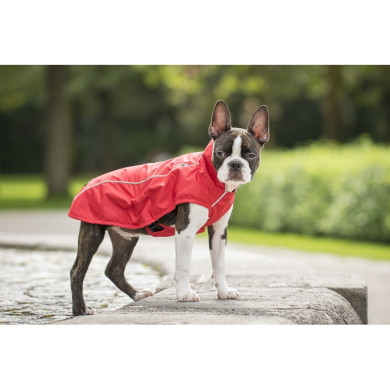 CHESTER Übergangsjacke mit Geschirr CHESTER Übergangsjacke mit Geschirr