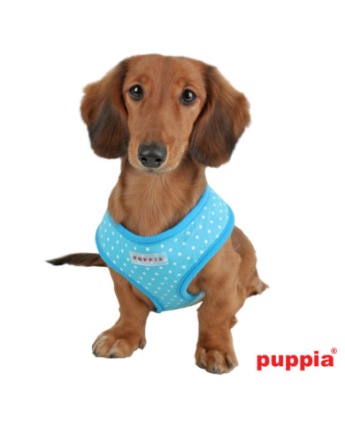 DOTTY HARNESS A DOTTY HARNESS A