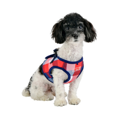 QUINN HARNESS B QUINN HARNESS B