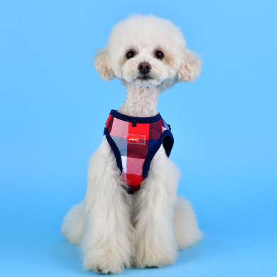 QUINN HARNESS B QUINN HARNESS B