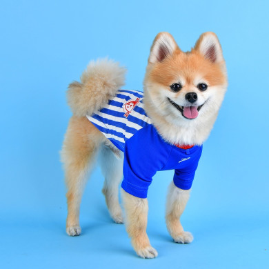 STRIKER STRIKER