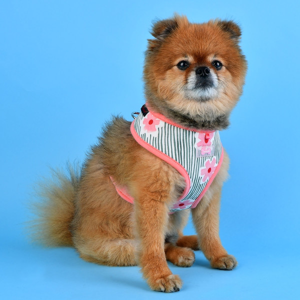 VERNA HARNESS A