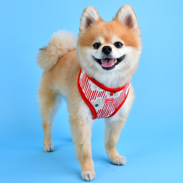 VERNA HARNESS A