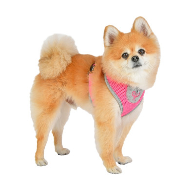 SPORTS HARNESS A SPORTS HARNESS A