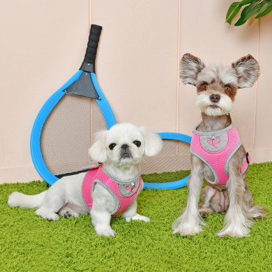 SPORTS HARNESS A SPORTS HARNESS A
