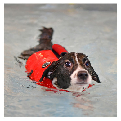 IRWIN LIFE JACKET IRWIN LIFE JACKET