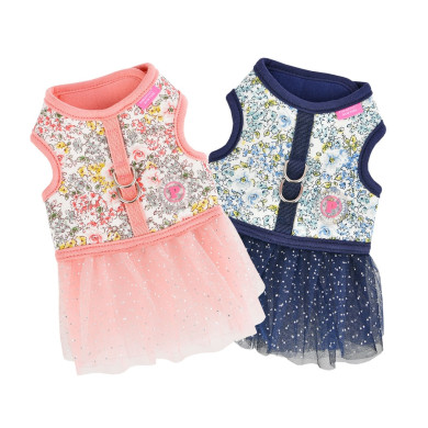 BEGONIA FLIRT HARNESS BEGONIA FLIRT HARNESS