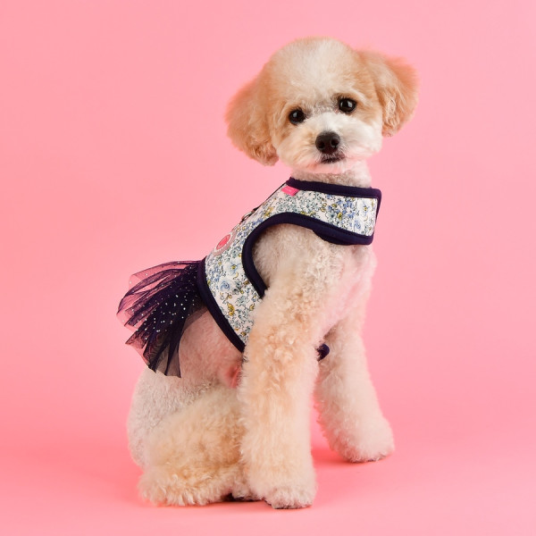 BEGONIA FLIRT HARNESS