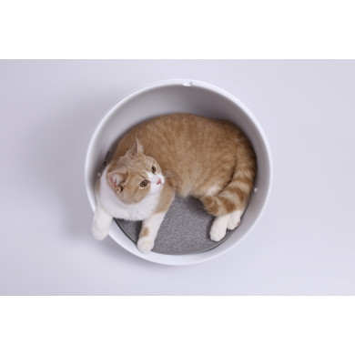 PETKIT Smart Pet House PETKIT Smart Pet House