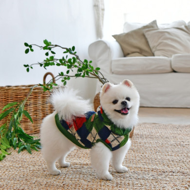 JOLLY JOLLY