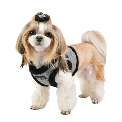 PUPPYTOOTH HARNESS B PUPPYTOOTH HARNESS B