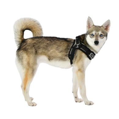 PUPPYTOOTH HARNESS X PUPPYTOOTH HARNESS X