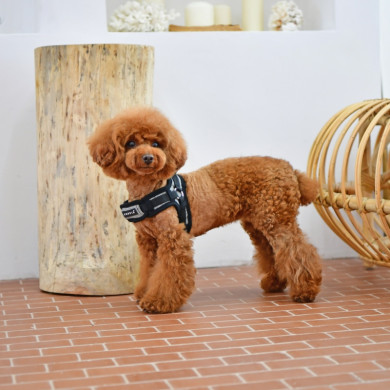 PUPPYTOOTH HARNESS X PUPPYTOOTH HARNESS X