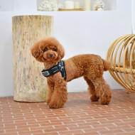 PUPPYTOOTH HARNESS X