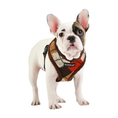 JOLLY HARNESS A JOLLY HARNESS A