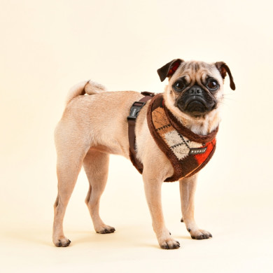 JOLLY HARNESS A JOLLY HARNESS A