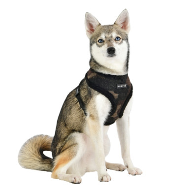 COLONEL HARNESS A COLONEL HARNESS A