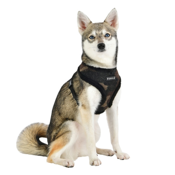 COLONEL HARNESS A