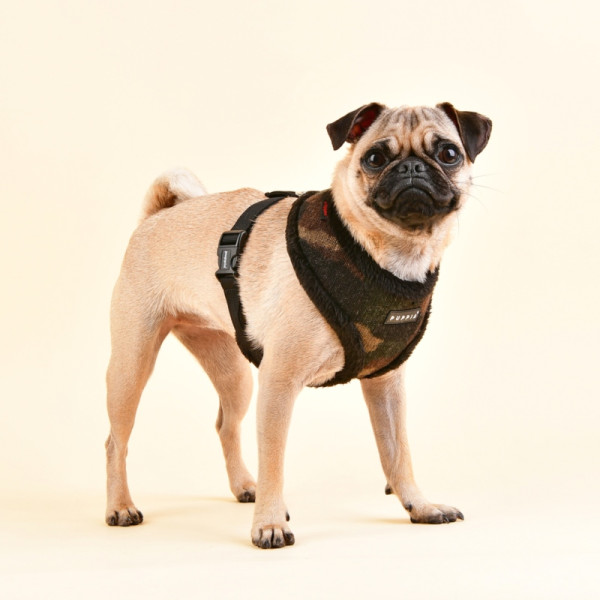 COLONEL HARNESS A